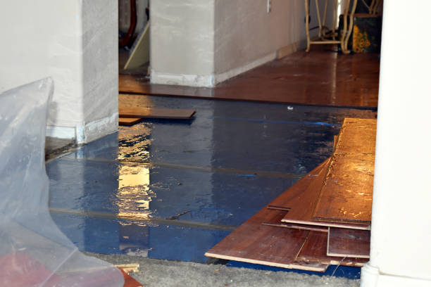 Professional Burst Pipe Cleanup technician working in Williston, ND